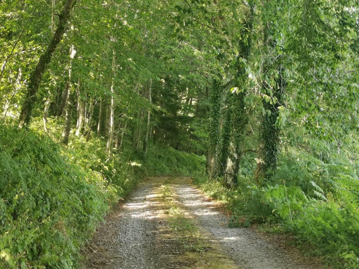 Domaine Lvd Avec Spa, Bois Et Riviere Privee La Bloutiere Exterior foto