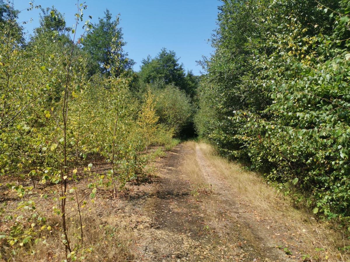 Domaine Lvd Avec Spa, Bois Et Riviere Privee La Bloutiere Exterior foto